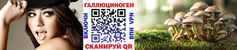 Галлюциногенные грибы Psilocybe  KRAKEN ссылки  Краснообск 